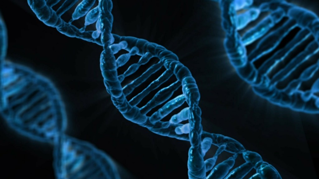 DNA shows youthful properties, could prevent diseases