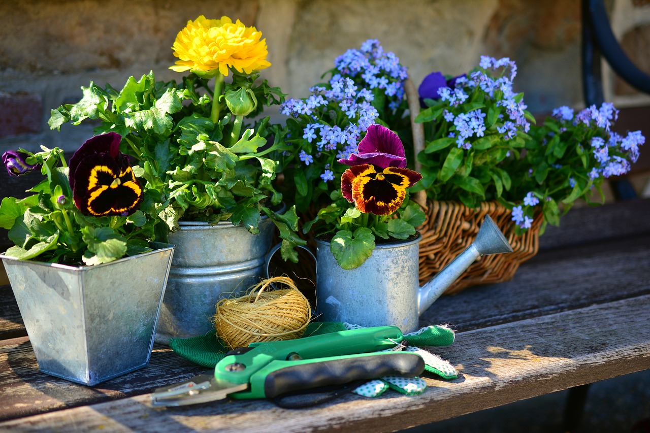 garden-2179530_1280