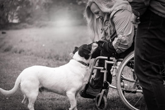 A woman in a wheelchair stroking a dog.