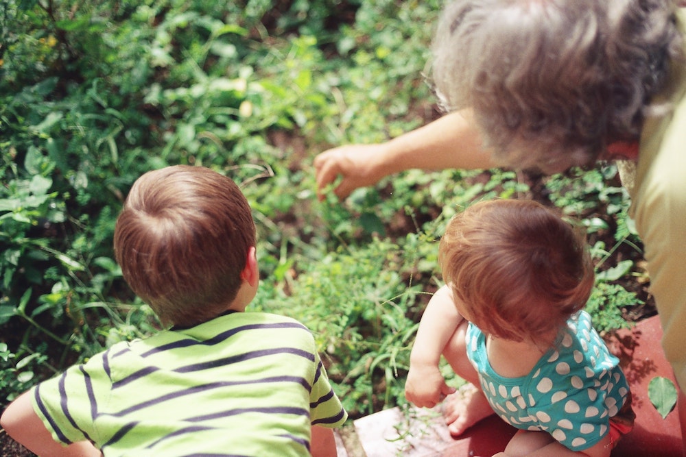 Grandparent gardening with grandchildren